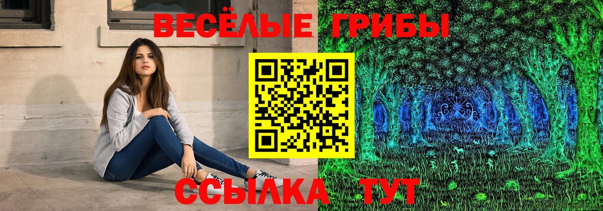 Галлюциногенные грибы мухоморы Ставрополь
