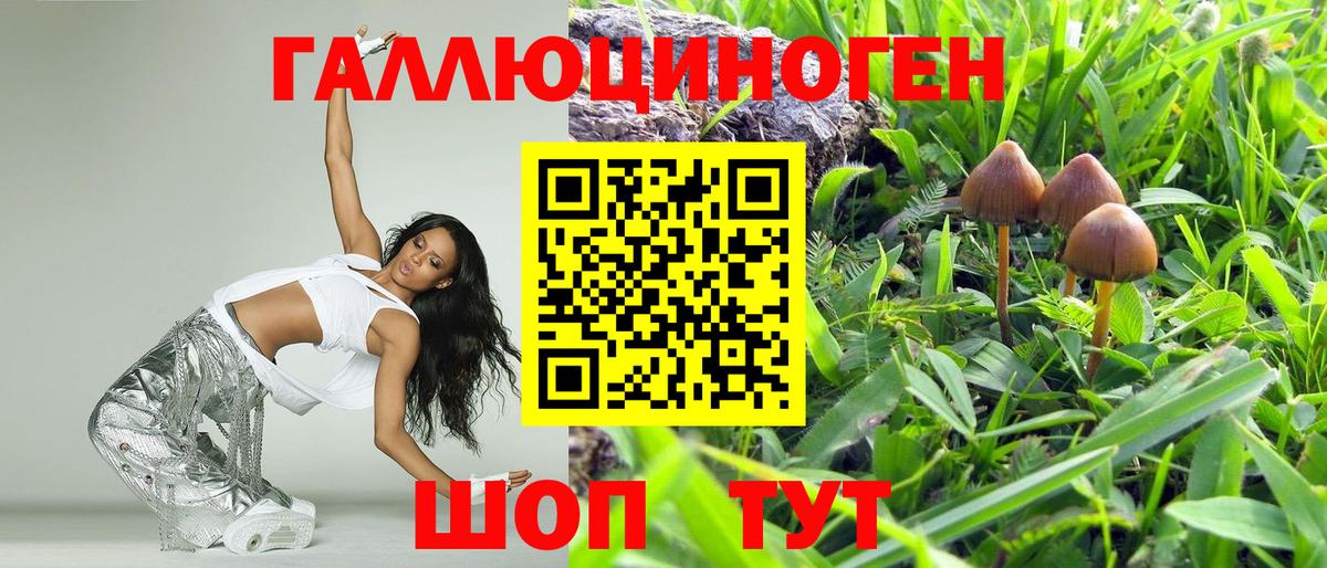 где можно купить наркотик  Псилоцибиновые грибы GOLDEN TEACHER  Вход с VPN  Галлюциногенные грибы Psilocybe  Ставрополь 
